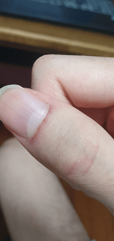 1번 째 사진