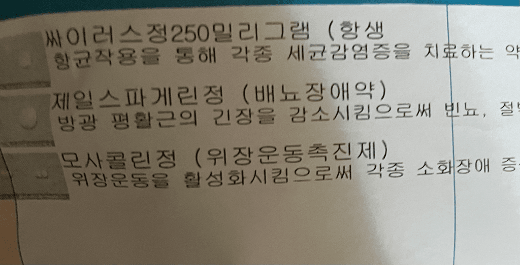 1번 째 사진