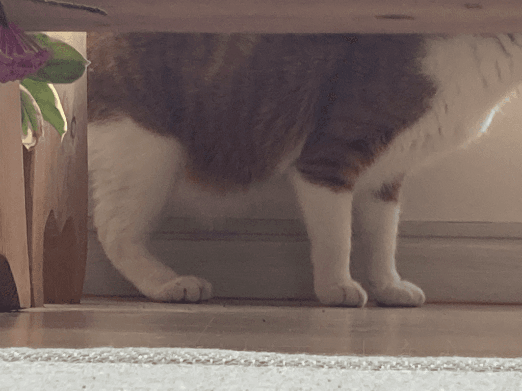 4번 째 사진