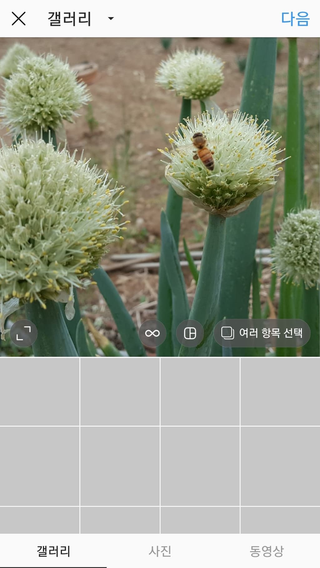 1번 째 사진