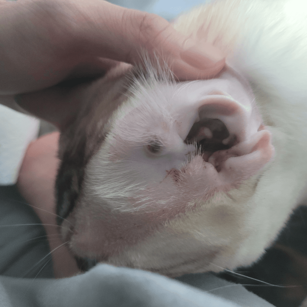 1번 째 사진