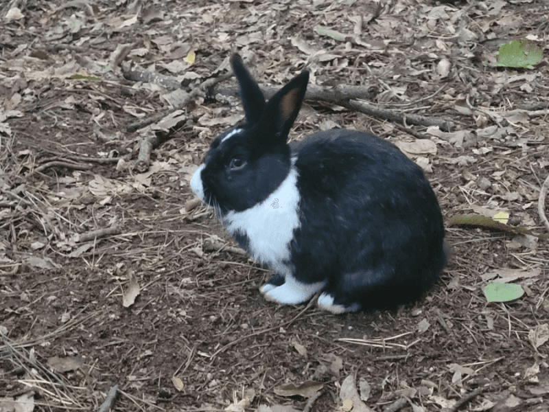 5번 째 사진