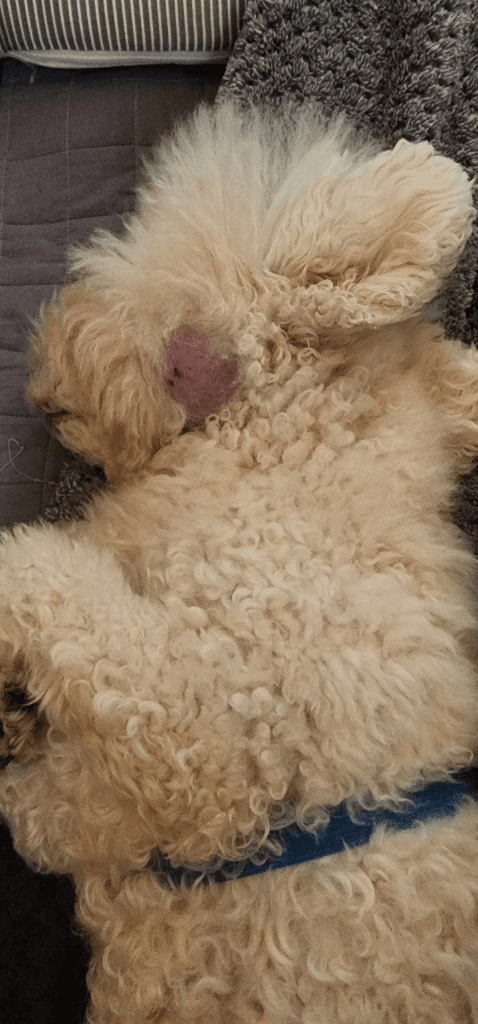 8번 째 사진