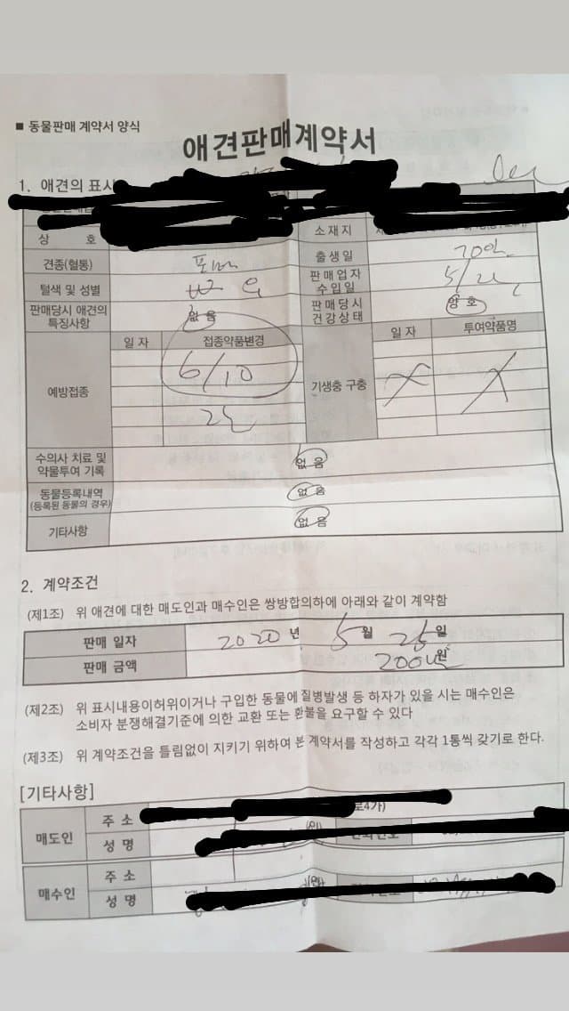 1번 째 사진