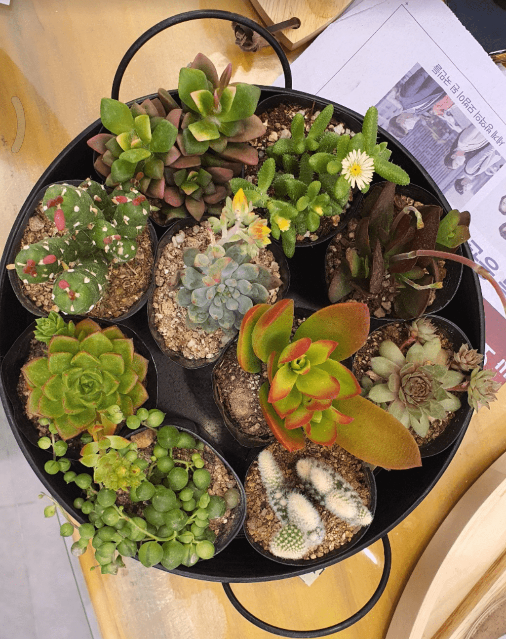 1번 째 사진