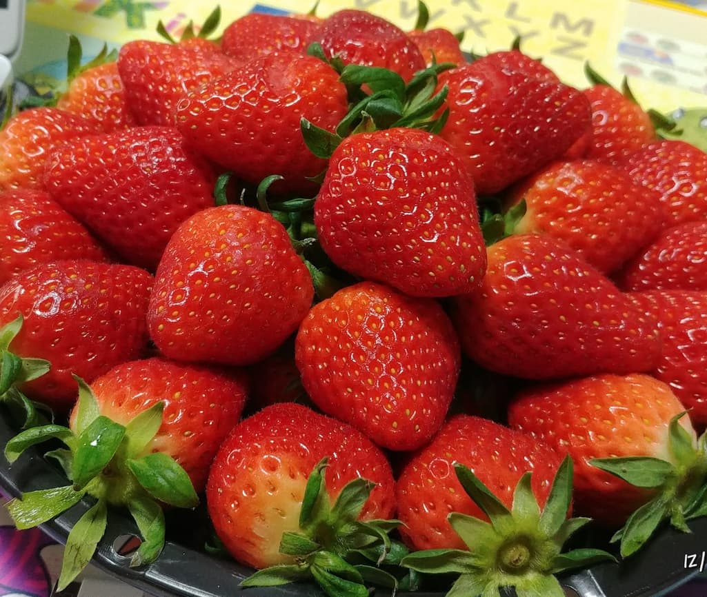 1번 째 사진
