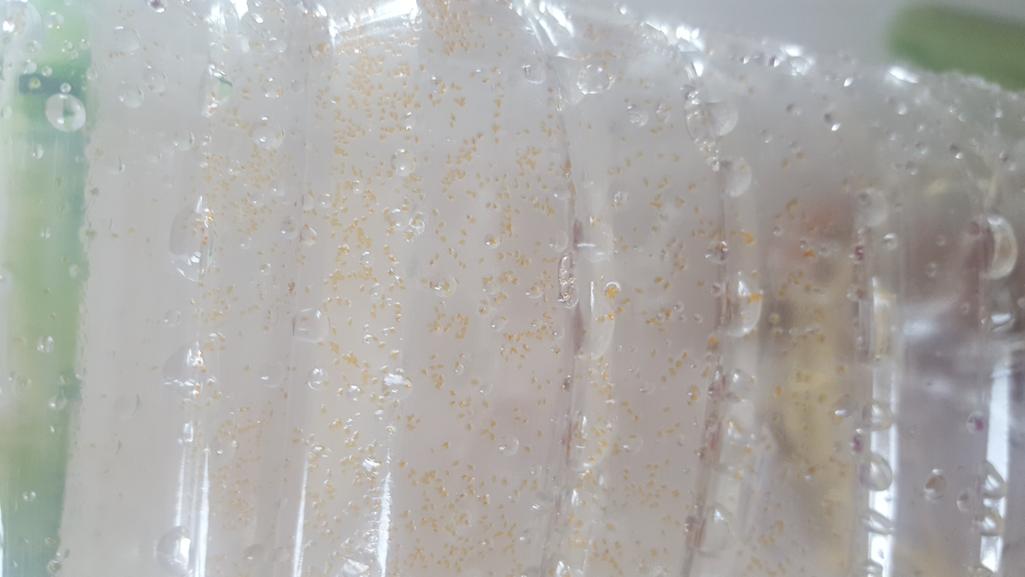 2번 째 사진