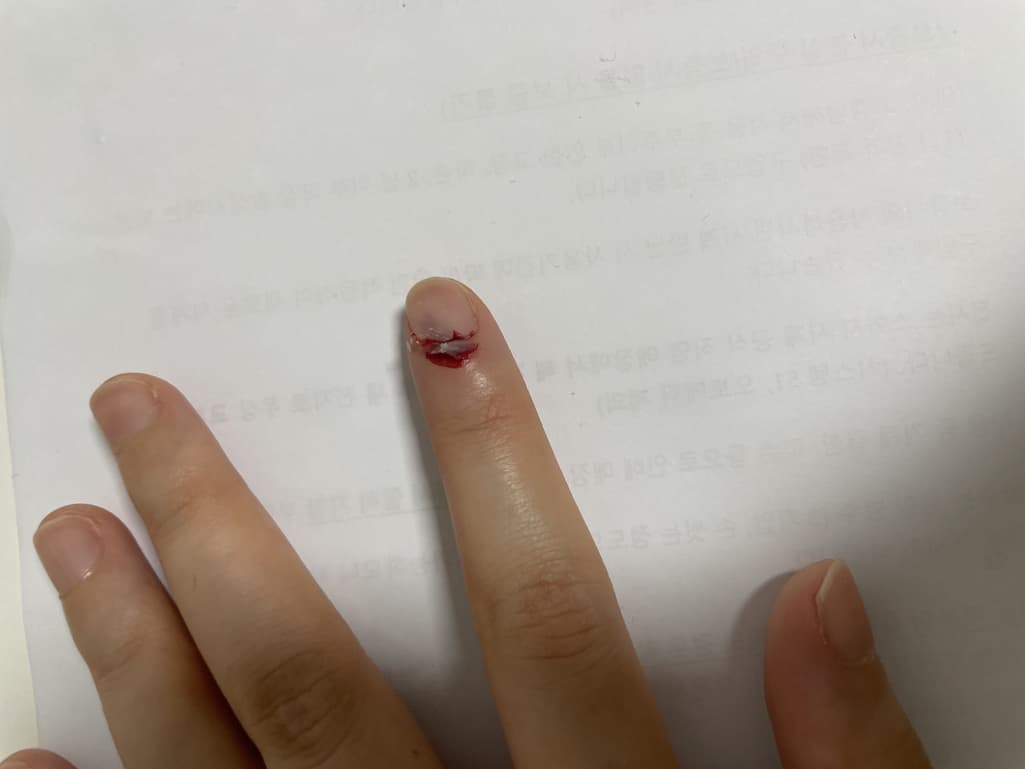 1번 째 사진
