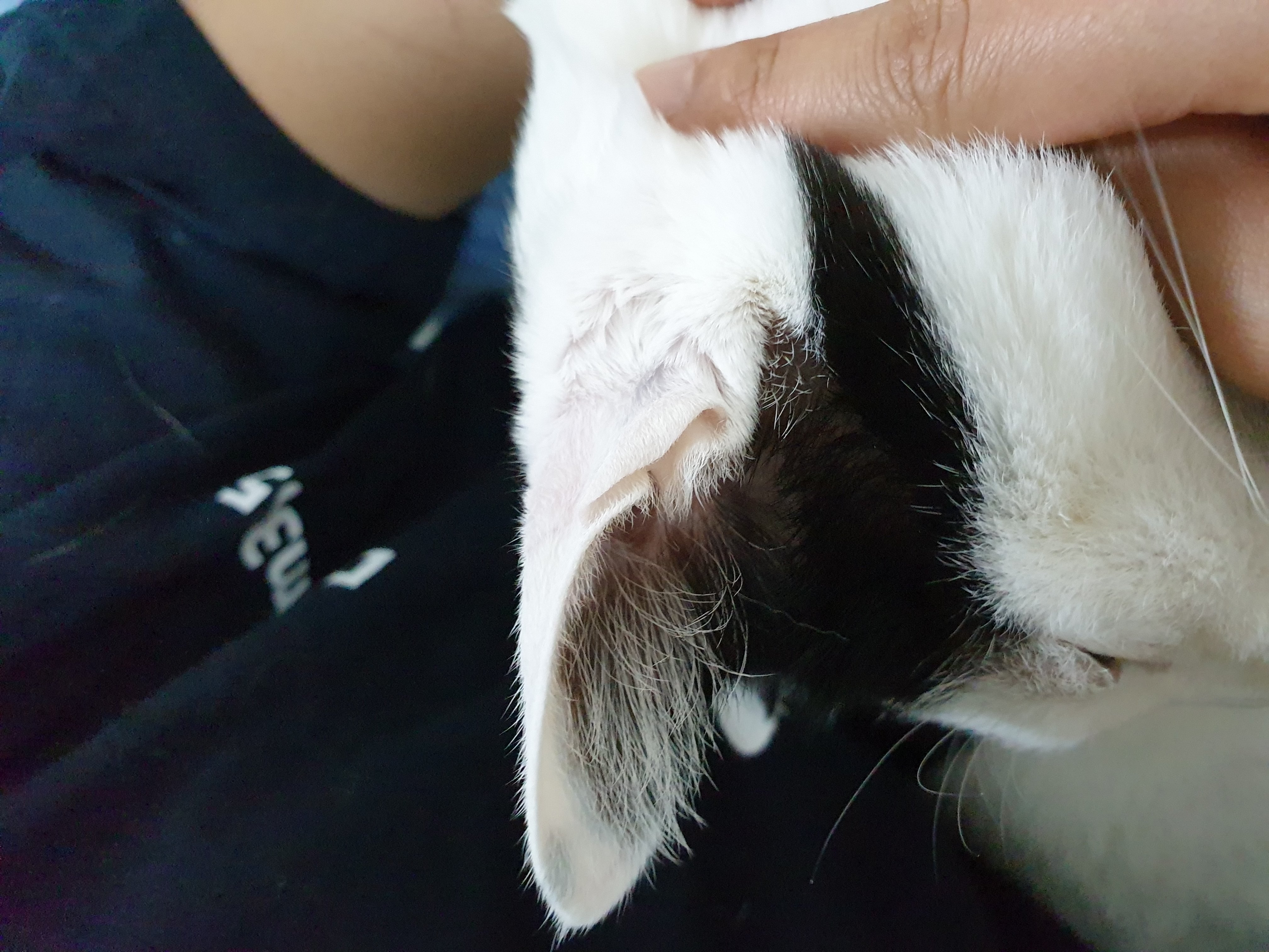2번 째 사진