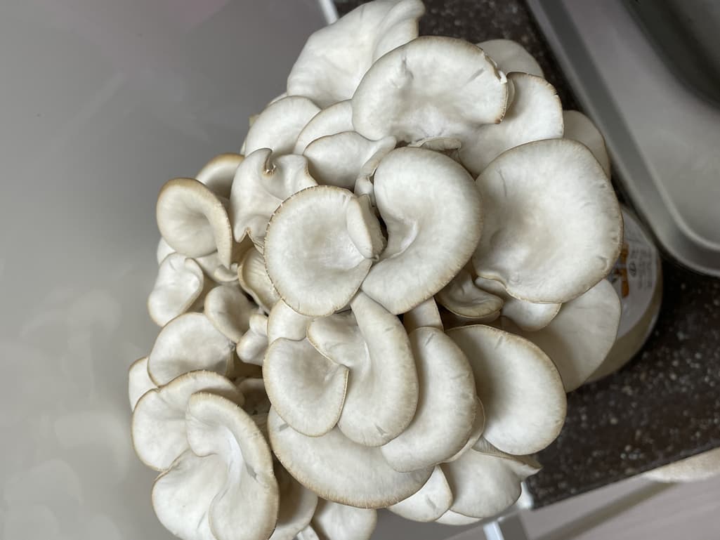 4번 째 사진