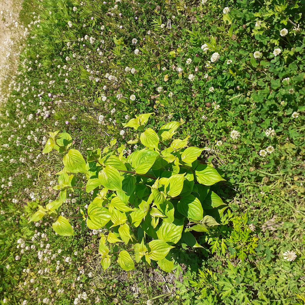 2번 째 사진