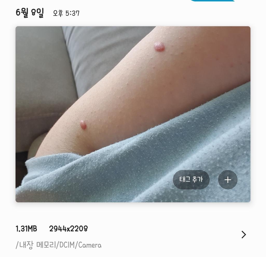 5번 째 사진