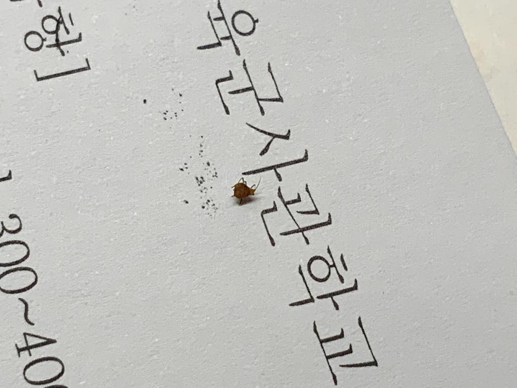 2번 째 사진