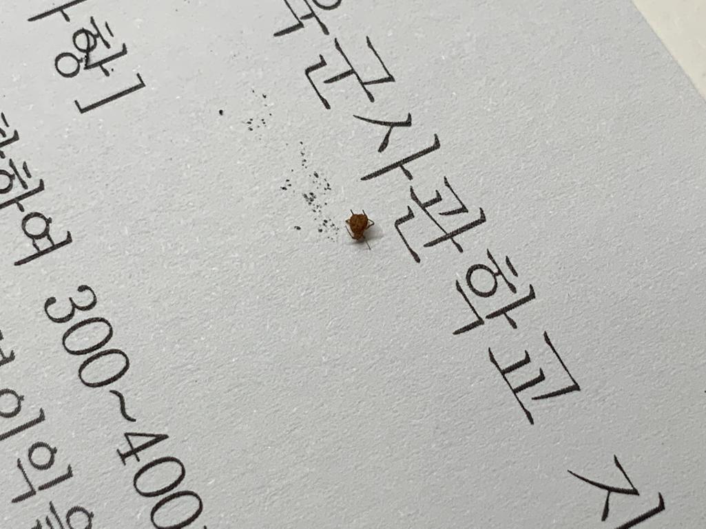 3번 째 사진