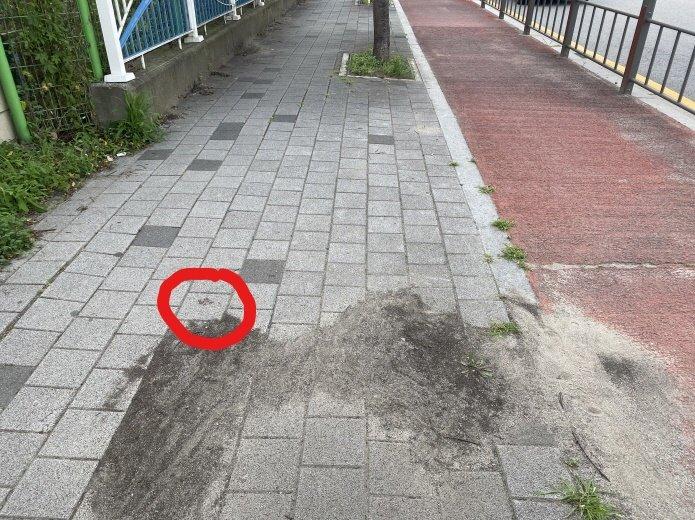 4번 째 사진