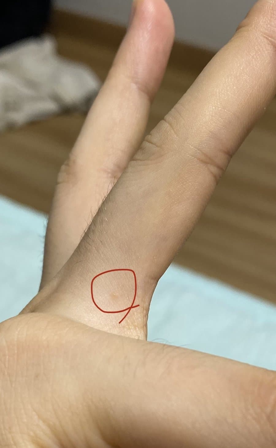 5번 째 사진
