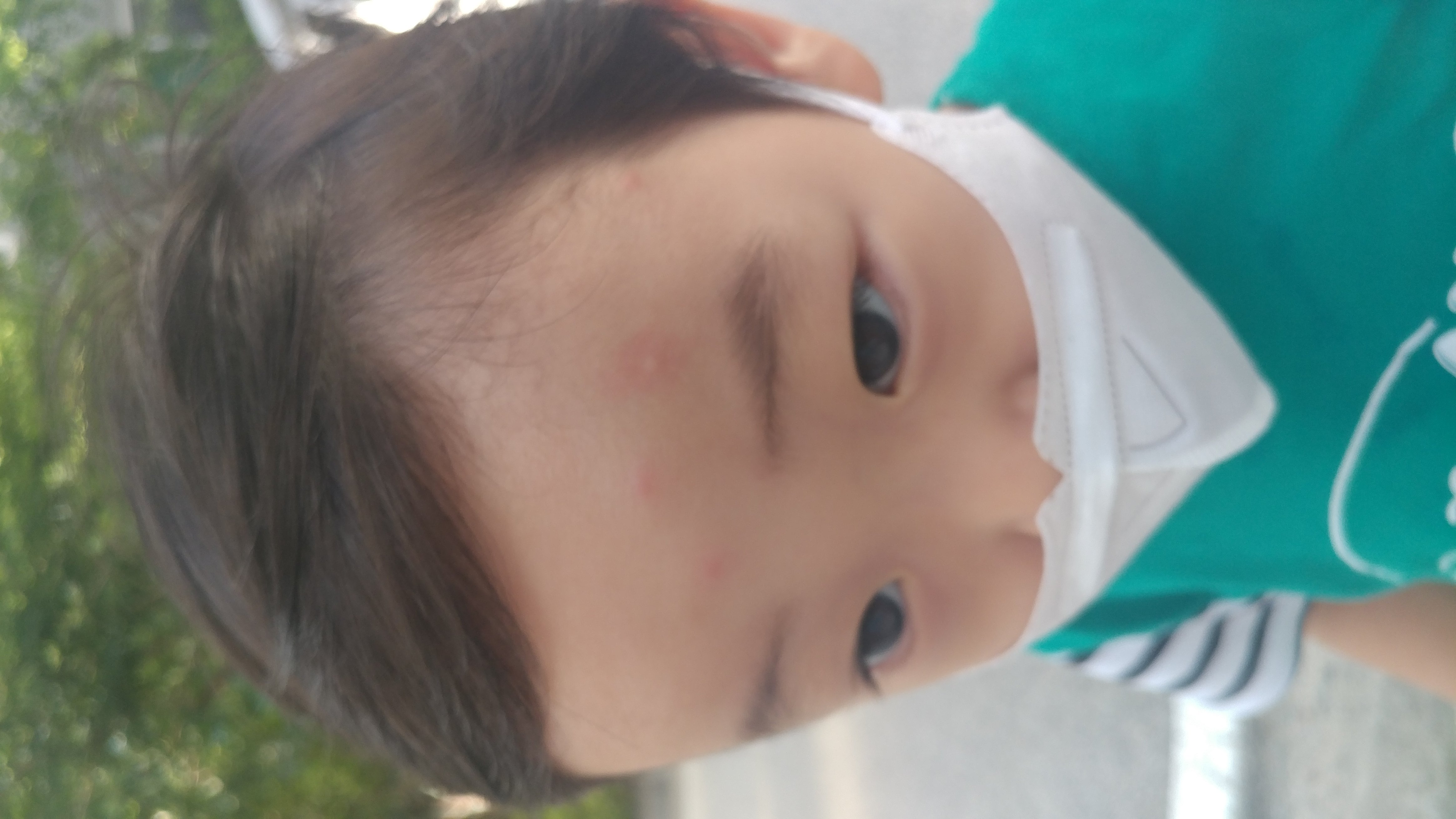 2번 째 사진