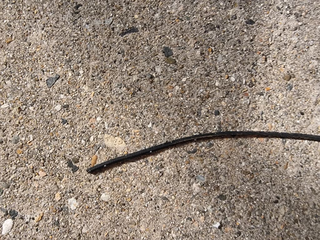 3번 째 사진