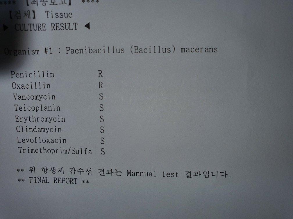 2번 째 사진