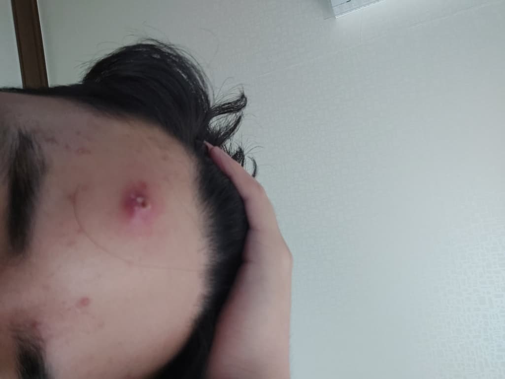 1번 째 사진