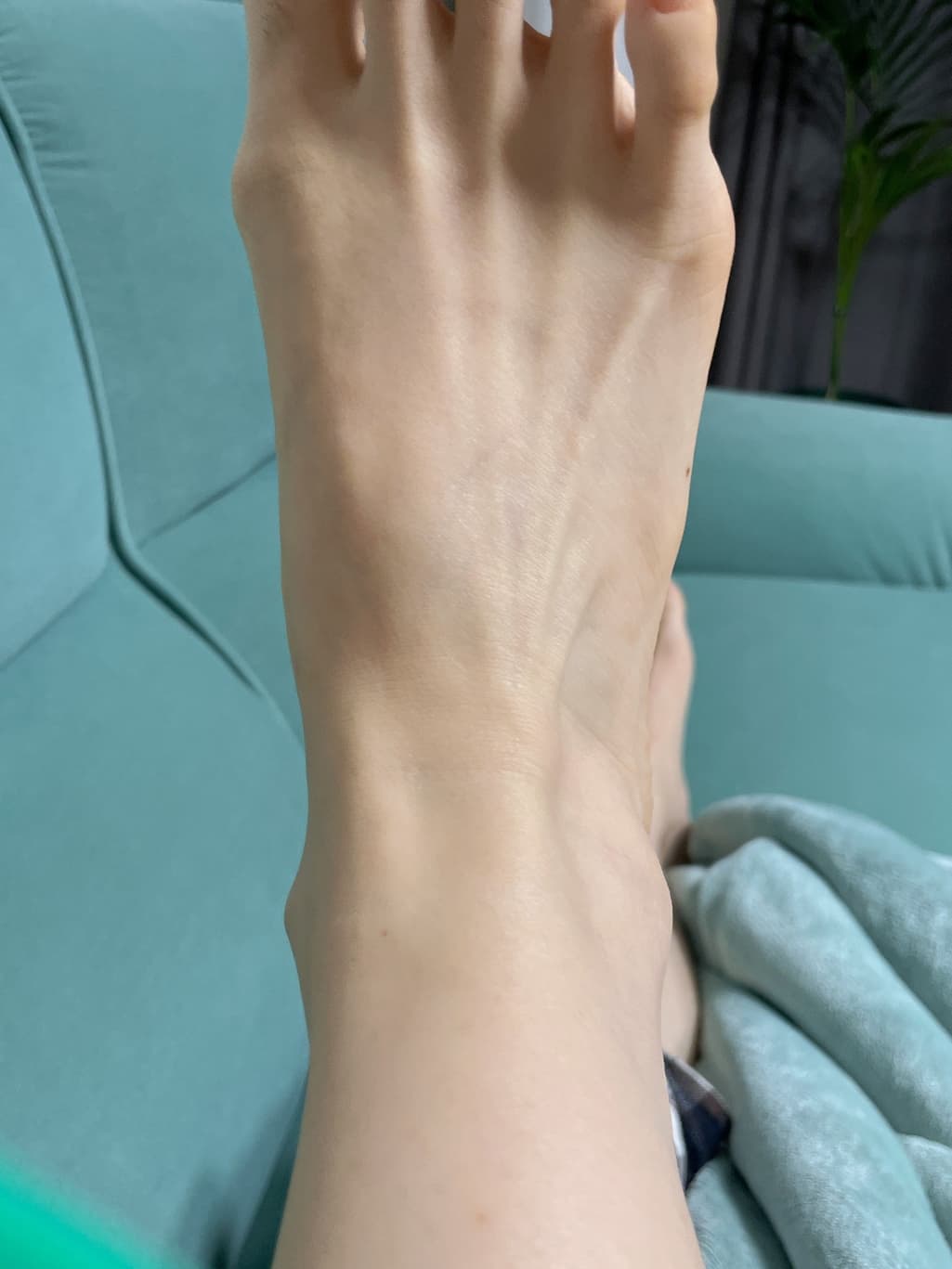 2번 째 사진