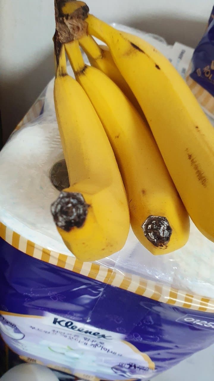 2번 째 사진