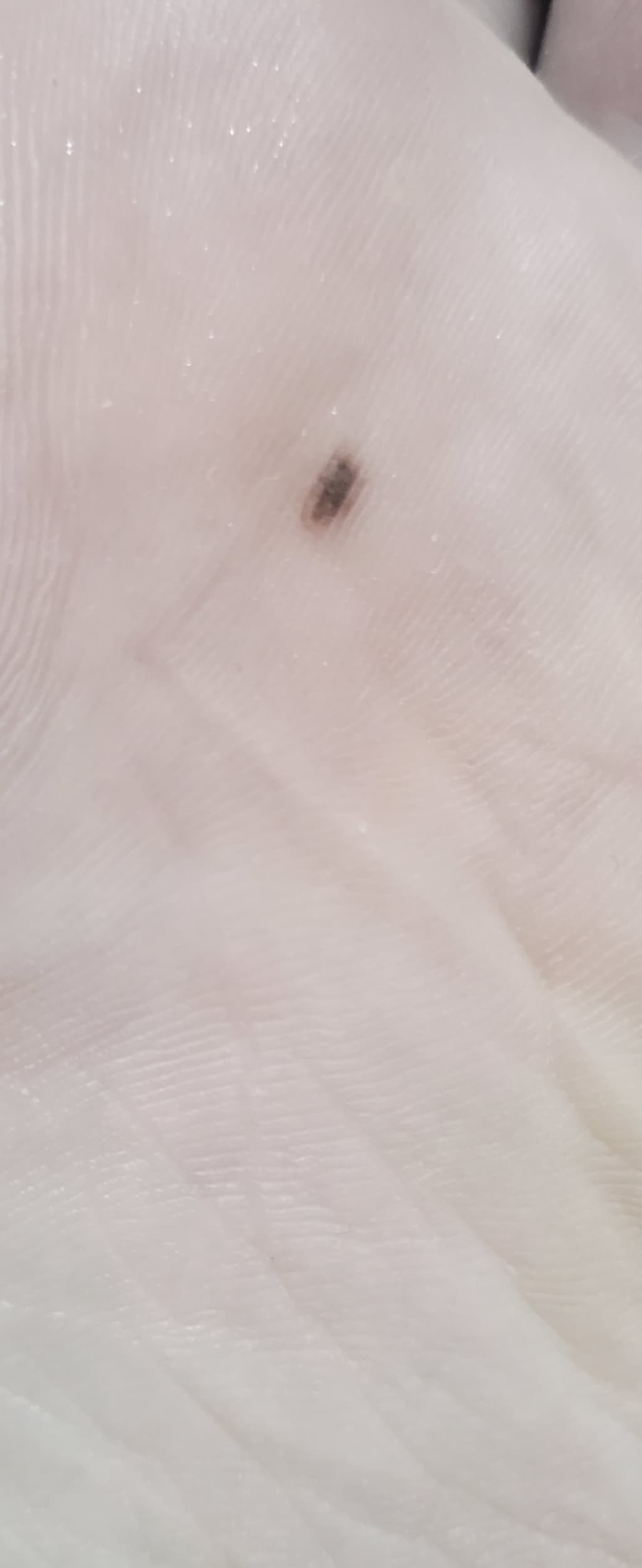 2번 째 사진
