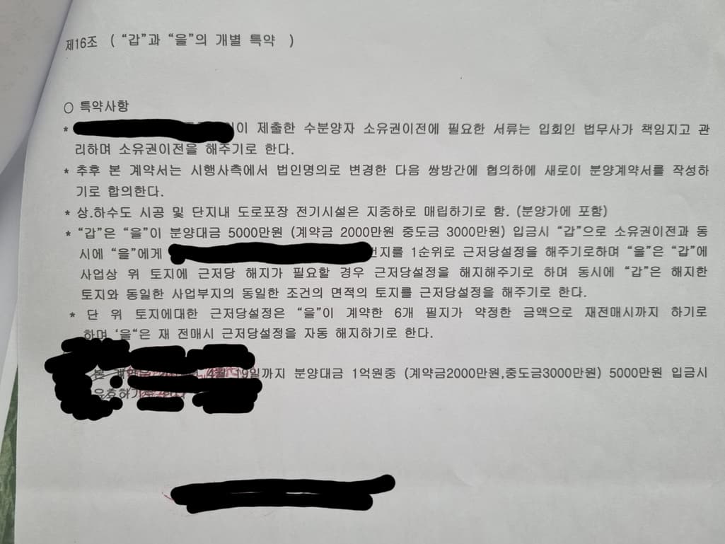 5번 째 사진