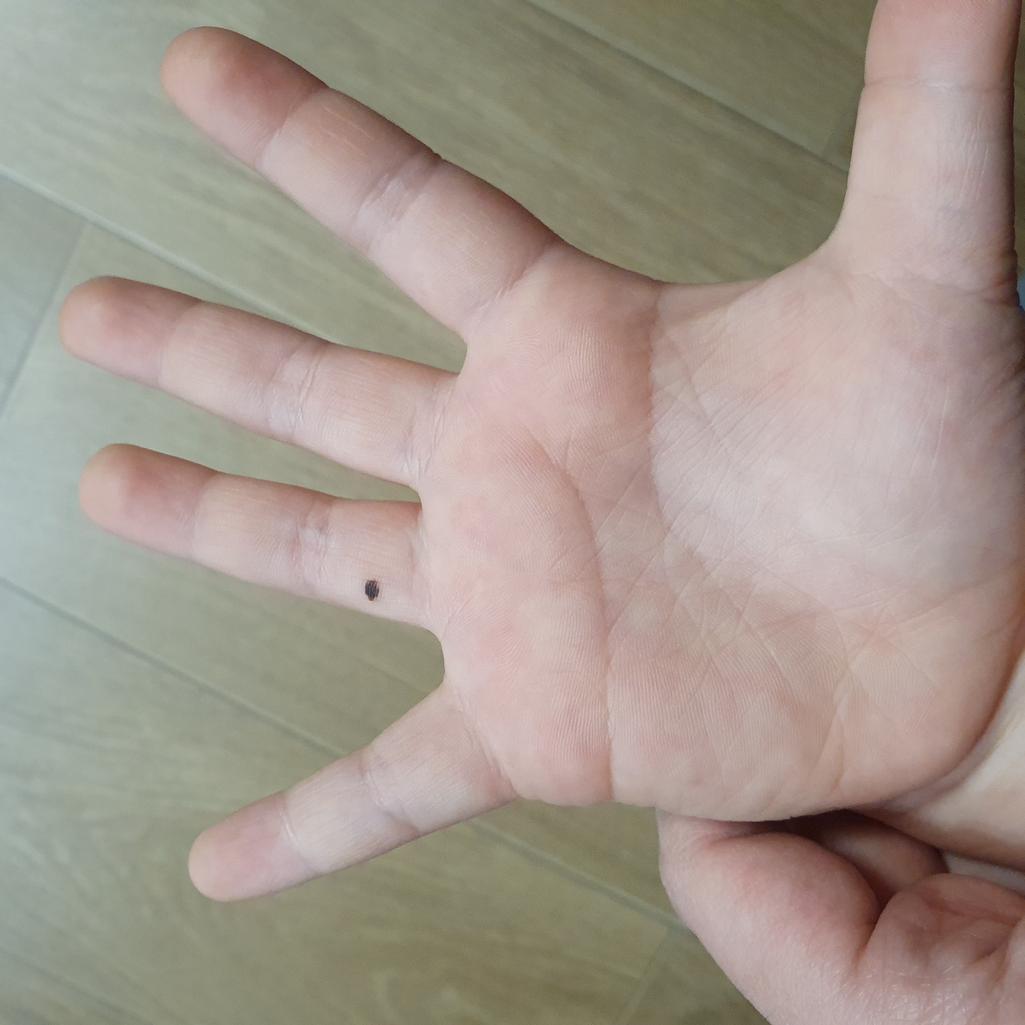 2번 째 사진