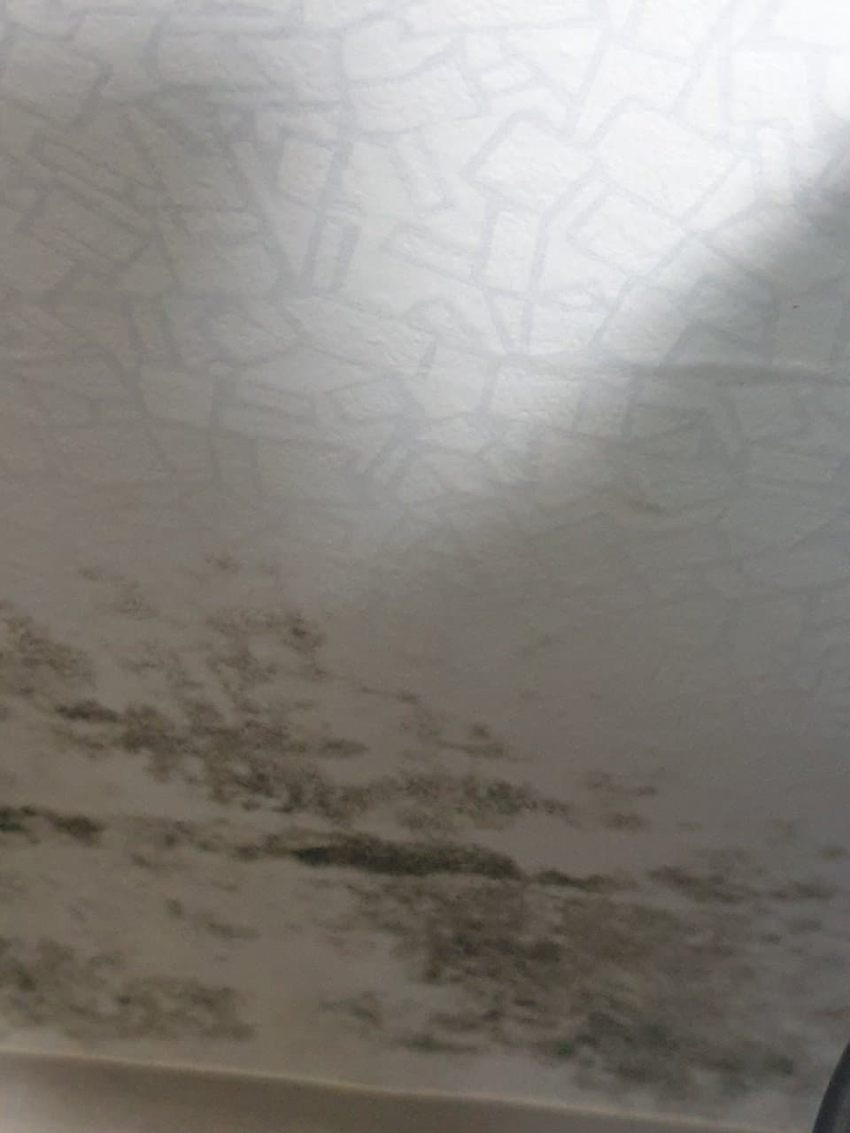 2번 째 사진
