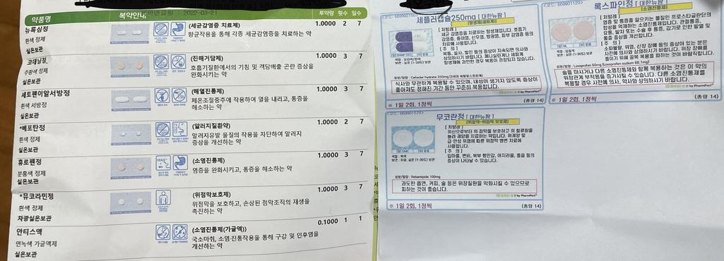 1번 째 사진