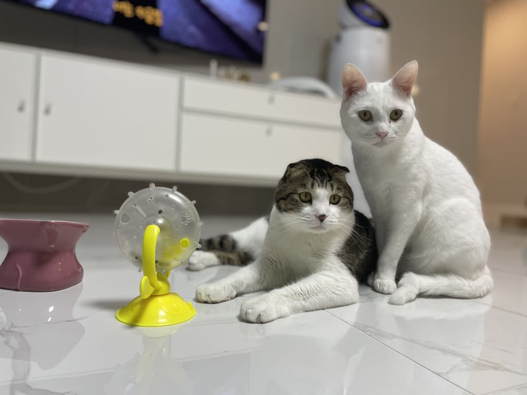 2번 째 사진