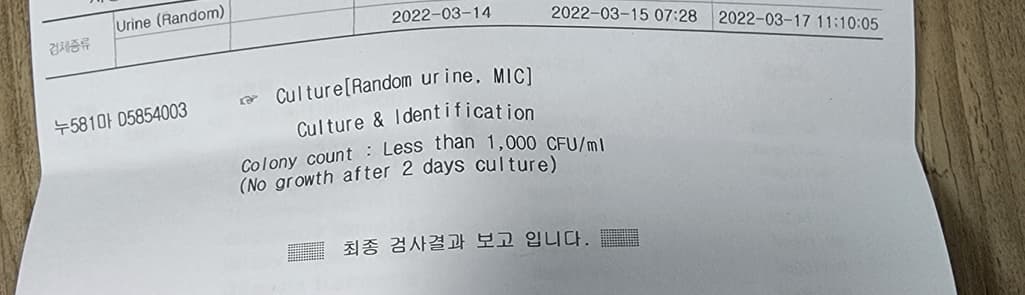 2번 째 사진