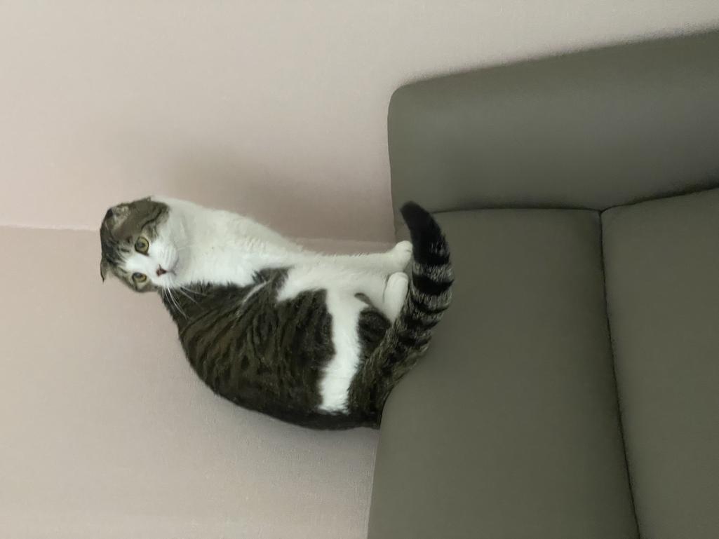 3번 째 사진