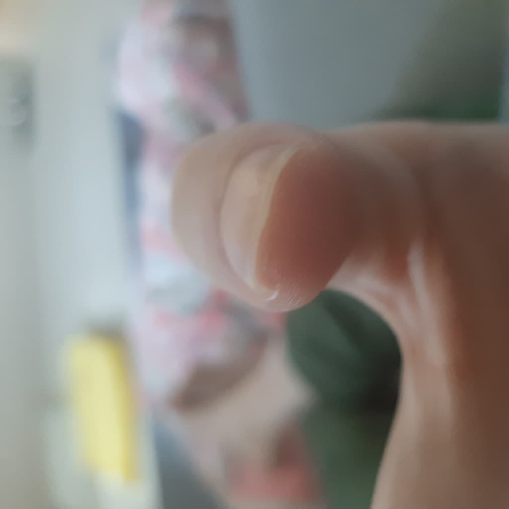 2번 째 사진