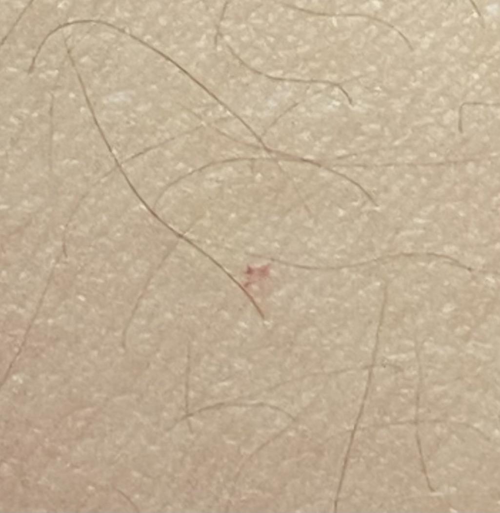 5번 째 사진