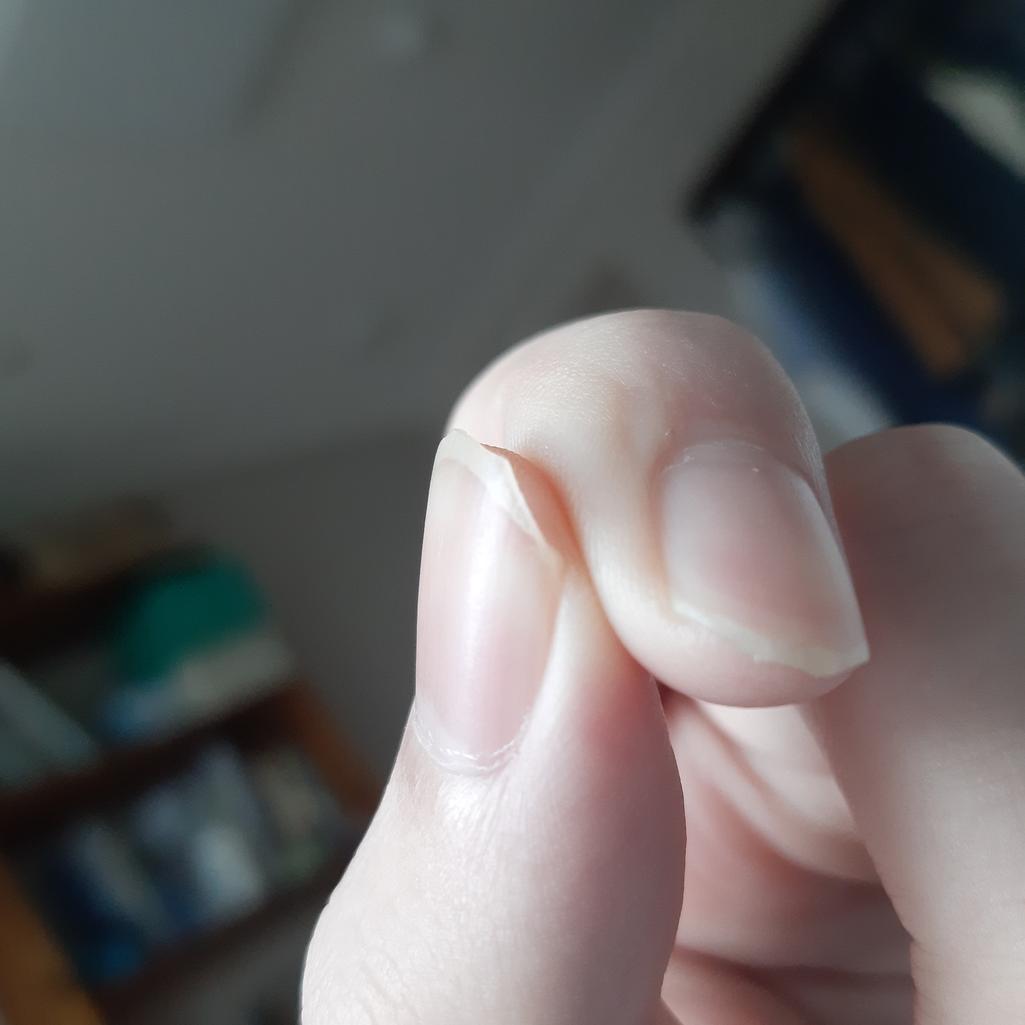 4번 째 사진