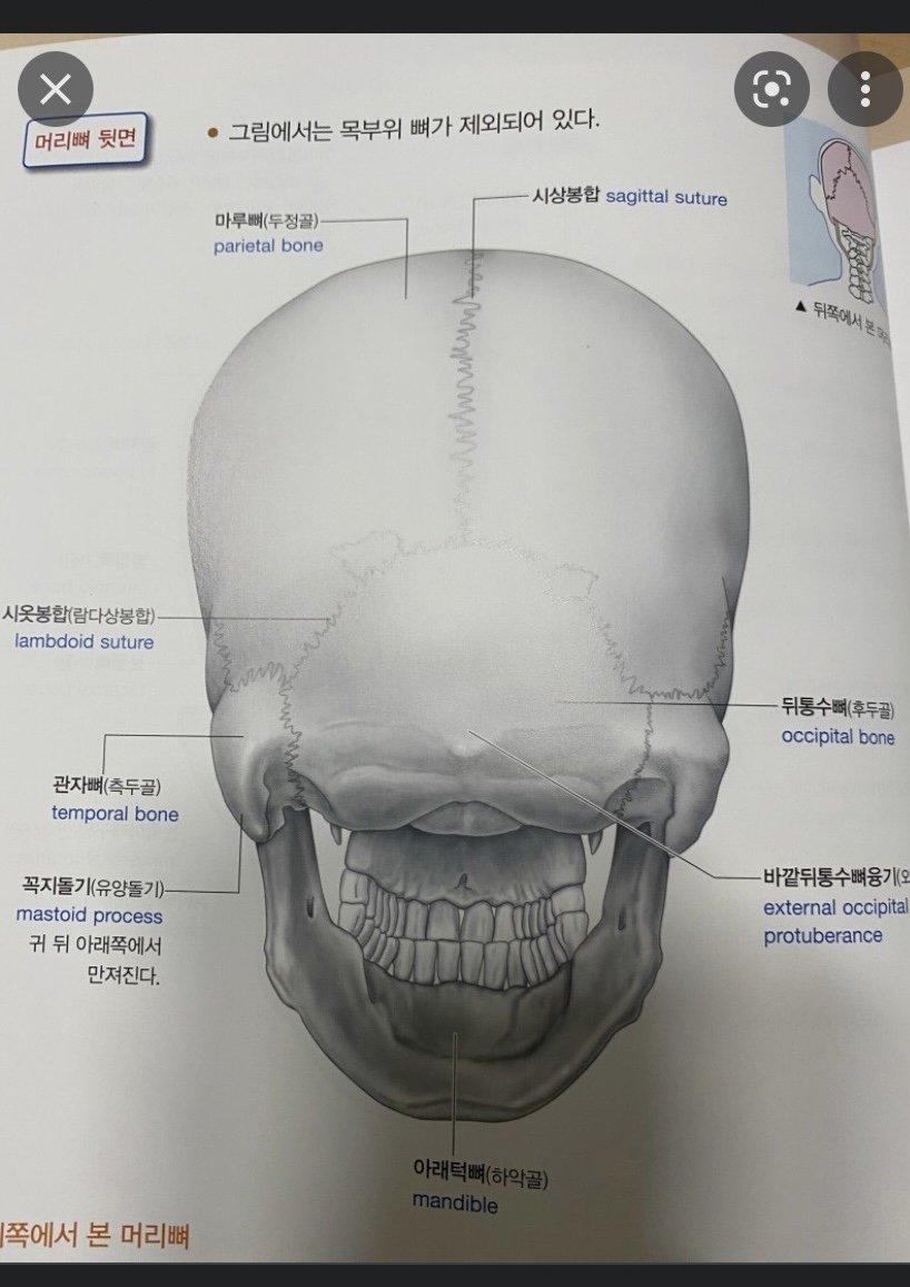 2번 째 사진