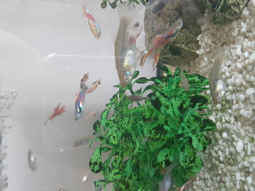 2번 째 사진