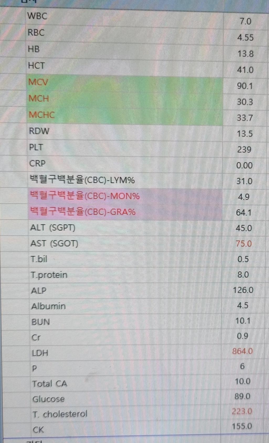 1번 째 사진