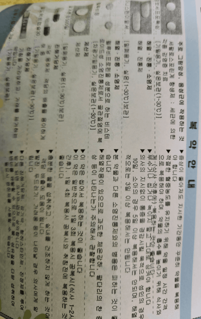 2번 째 사진