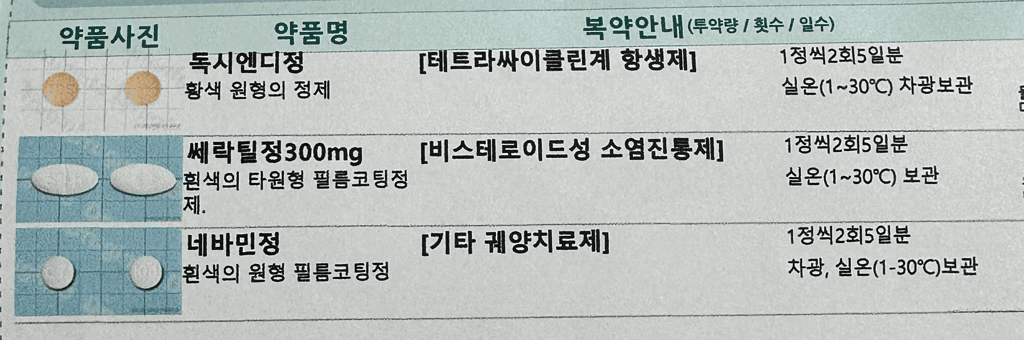 2번 째 사진