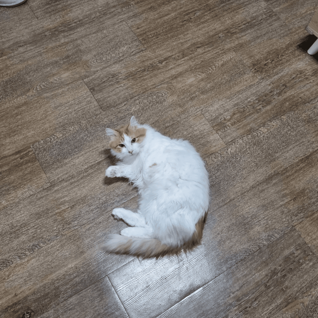3번 째 사진