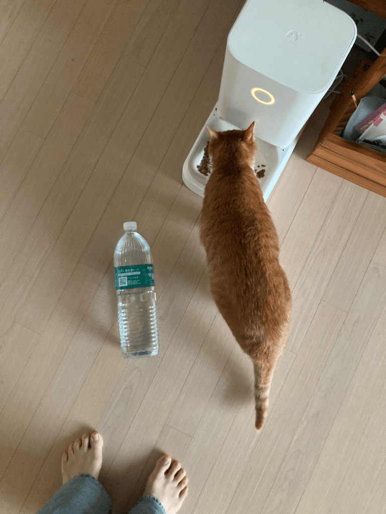 1번 째 사진