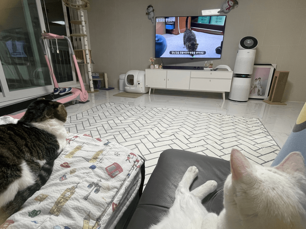 1번 째 사진