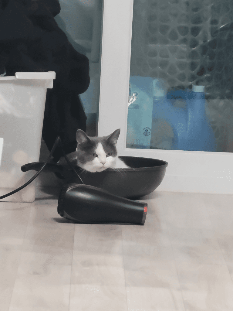 1번 째 사진