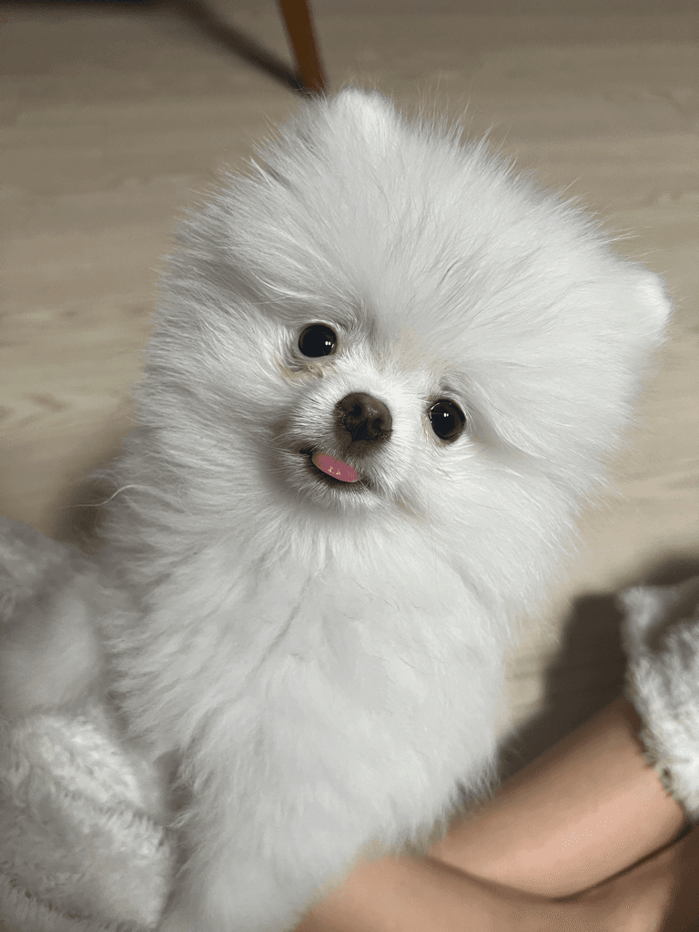 1번 째 사진