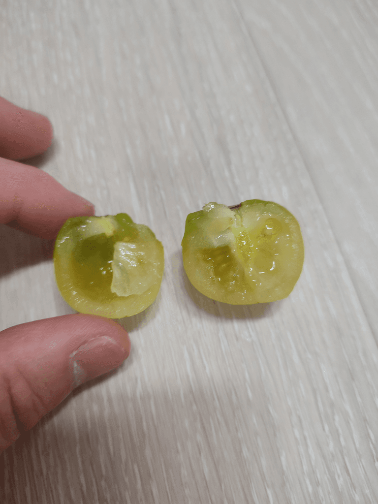 2번 째 사진