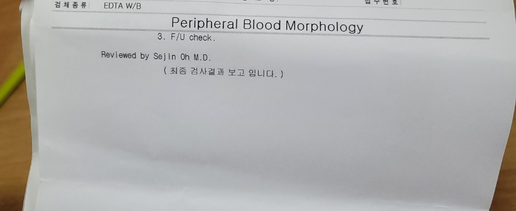 5번 째 사진