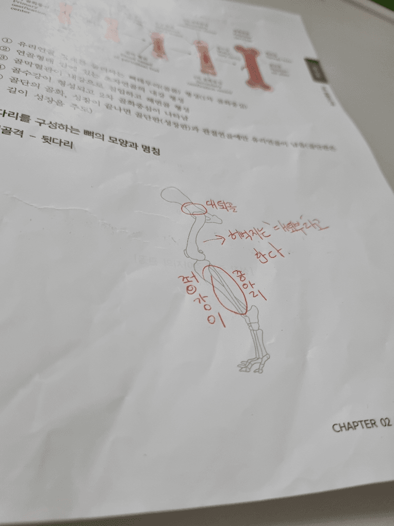1번 째 사진